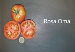 Tomate Rosa Oma