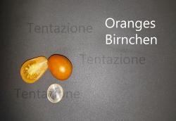 Tomate Oranges Birnchen