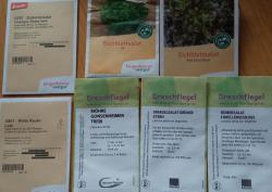 Eichblattsalat Till halbe Samentüte Eichblattsalat Till halbe Samentüte