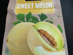 Zuckermelone Charentais Zuckermelone Charentais