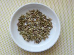 Ringelblumen Samenmischung Ringelblumen Samenmischung