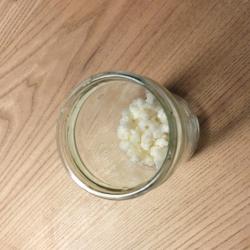 Kefirknollen Milchkefir Kefirknollen Milchkefir