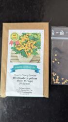 Busch Cherry Tomate Windowbox yellow Busch Cherry Tomate Windowbox yellow