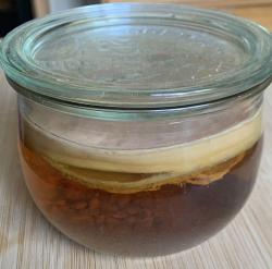 Kombucha Kombucha