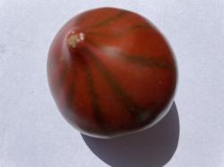 Tomate Marmande