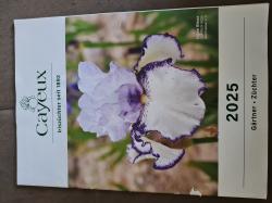 Iris Cayeux, Neuer Katalog 2025 Iris Cayeux, Neuer Katalog 2025