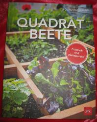Quadratbeete Quadratbeete
