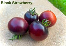 Tomatensamen Black Strawberry