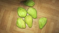 Chayotefrucht 2 Stück Chayotefrucht 2 Stück