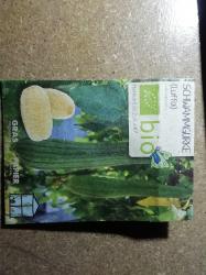 Luffa Luffa