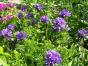 2 Gartenhefte November 2022