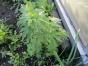 2 Gartenhefte November 2022