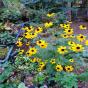 2 Gartenhefte November 2022