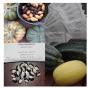 Riesen Zucchini XXXL Wettkampf 3+ Samen