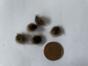 Vermiculite 