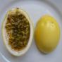 Maracuja