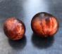 verschiedene Tomatensorten/5x