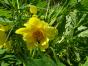 2 Gartenhefte November 2022