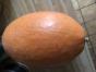 Rote Beete Burpees Golden