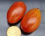Tomate "Blush"