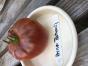 Togorific - Tomate - 15 Samen