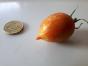 Tomate Roter Heinz 