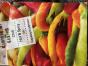 Inca Red drop peach chili samen