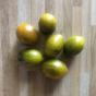 Tomate Amber Keyes (Multiflora) ...