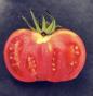 Tomate Old German 