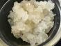 Wasserkefir ...