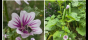 Sticker, Aufkleber, rund