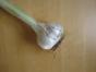 Elefantenknoblauch