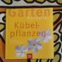 K&uuml;belpflanzen 