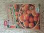 BIO Cherry Tomate