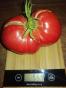Rosa Fleischtomate