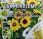 Kleinbumige Sonnenblume