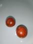 Tomate black Zebra Cherry robust
