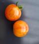 Tomate "Artisan Sunrise Bumblebee""