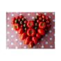 Tomaten 5x10